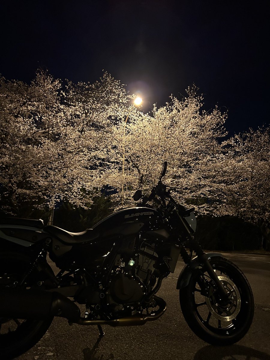 マァサ tweet media