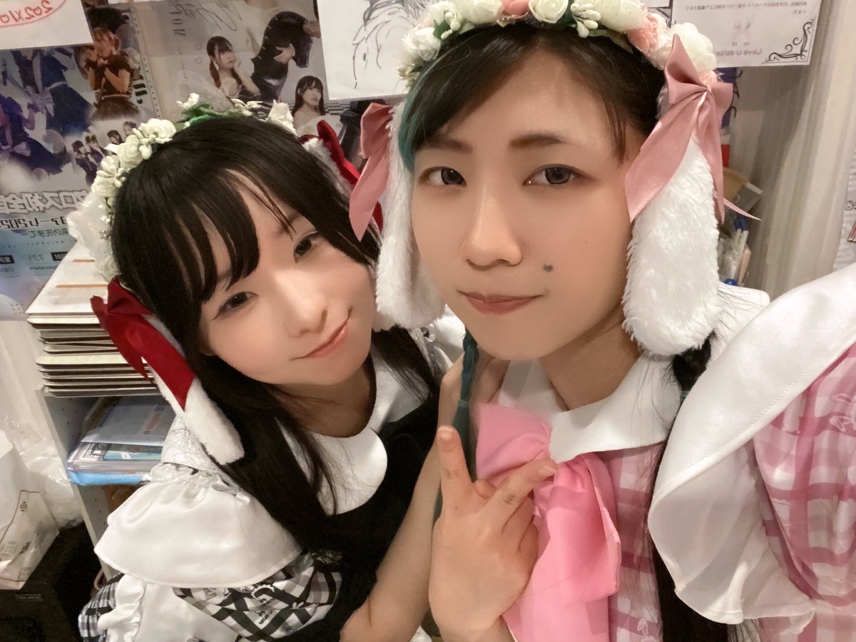 秋葉原メイドカフェ＆バー Love U daisyらぶでじ コンカフェ最大手🐰 tweet media
