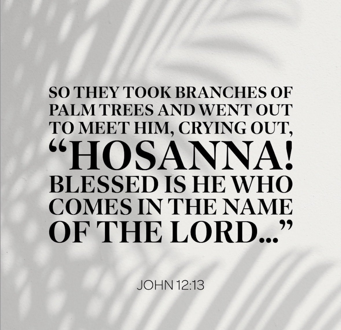 Hoosier daddy tweet media