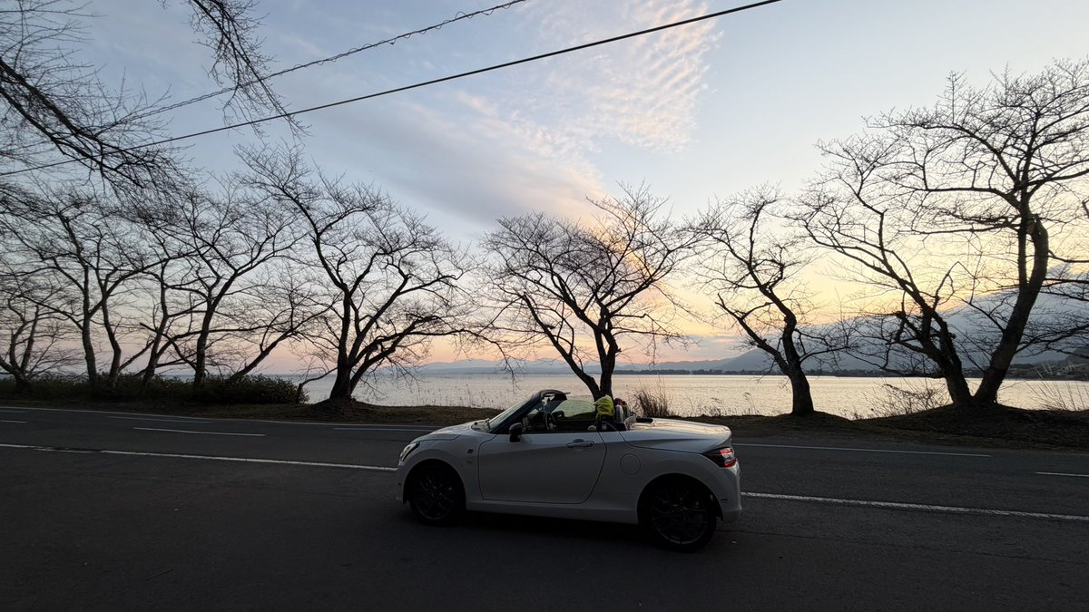 のぶ(+アヒル隊長) tweet media