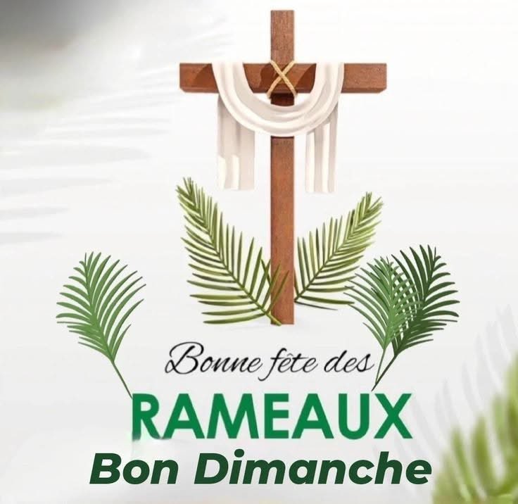 MPWASA TÉLÉVISION tweet media