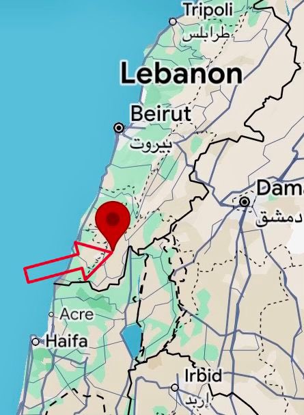 أنور مالك tweet media