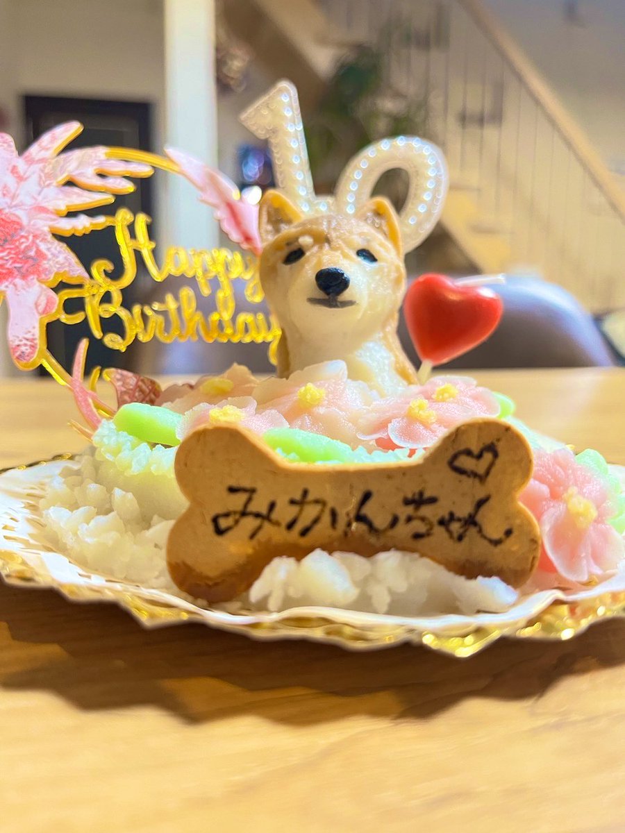 かぴこ@柴犬みかん tweet media