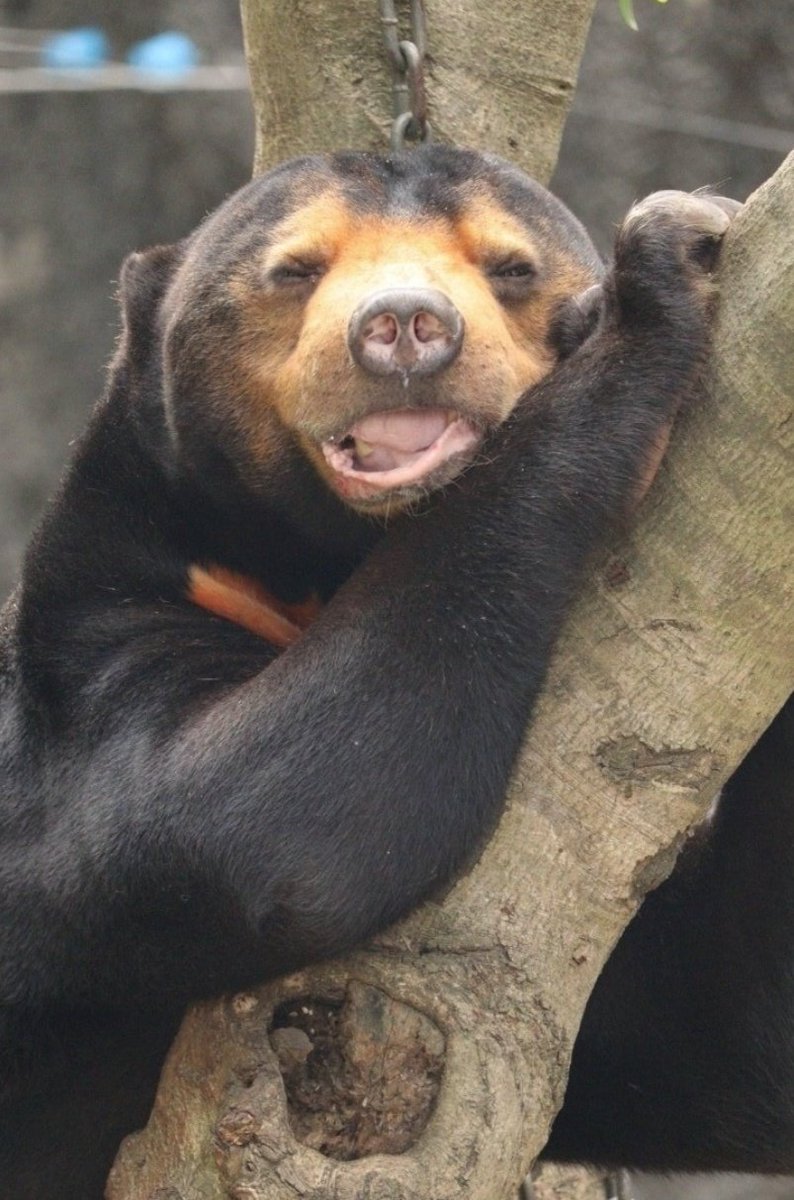 ♡ERI♡ tweet media