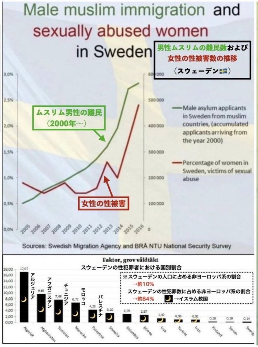 midnight-MSQ tweet media