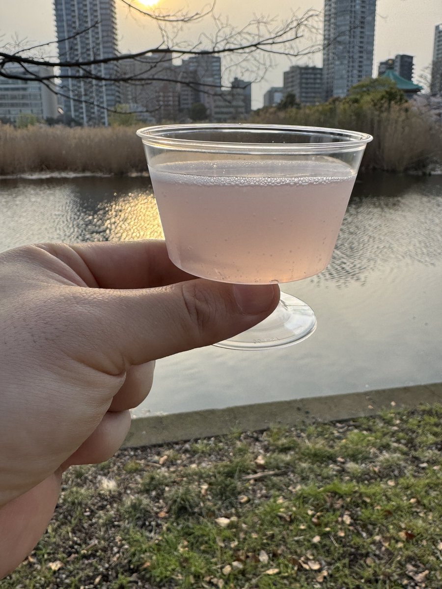 桜を見に来たので
ショートカクテル ソメイヨシノ飲んでる