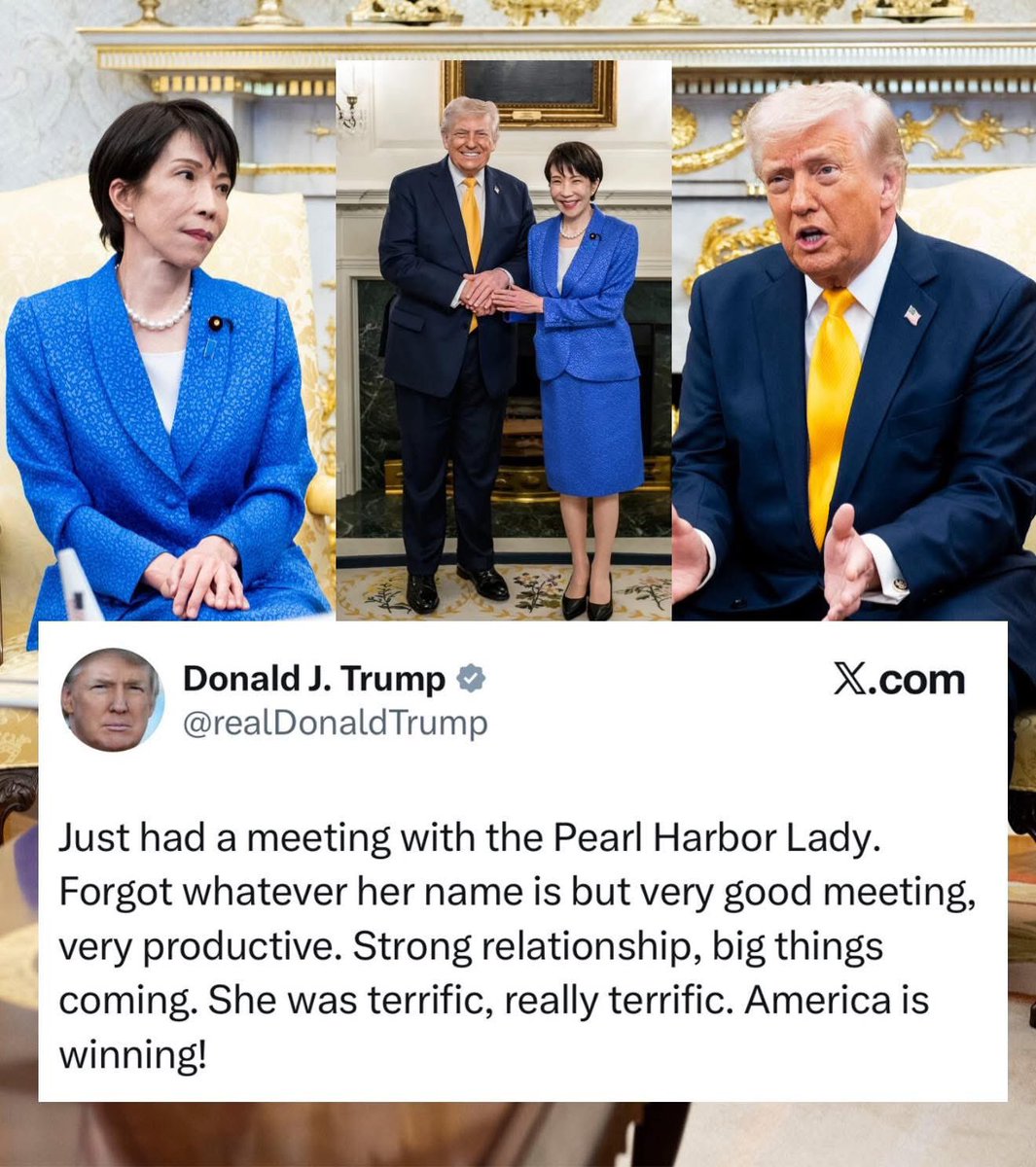 Medanbungbok tweet media