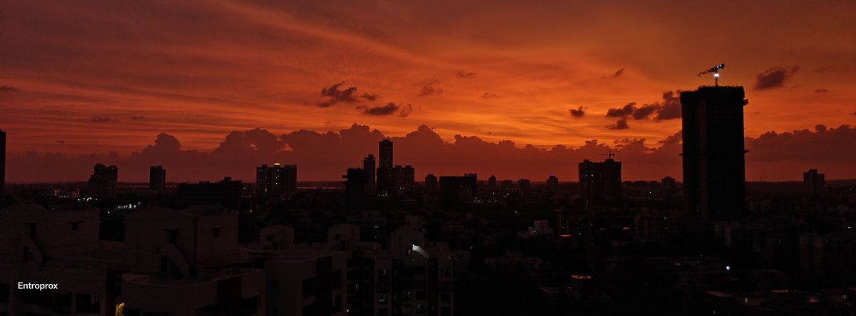 Entro 🔭 tweet media