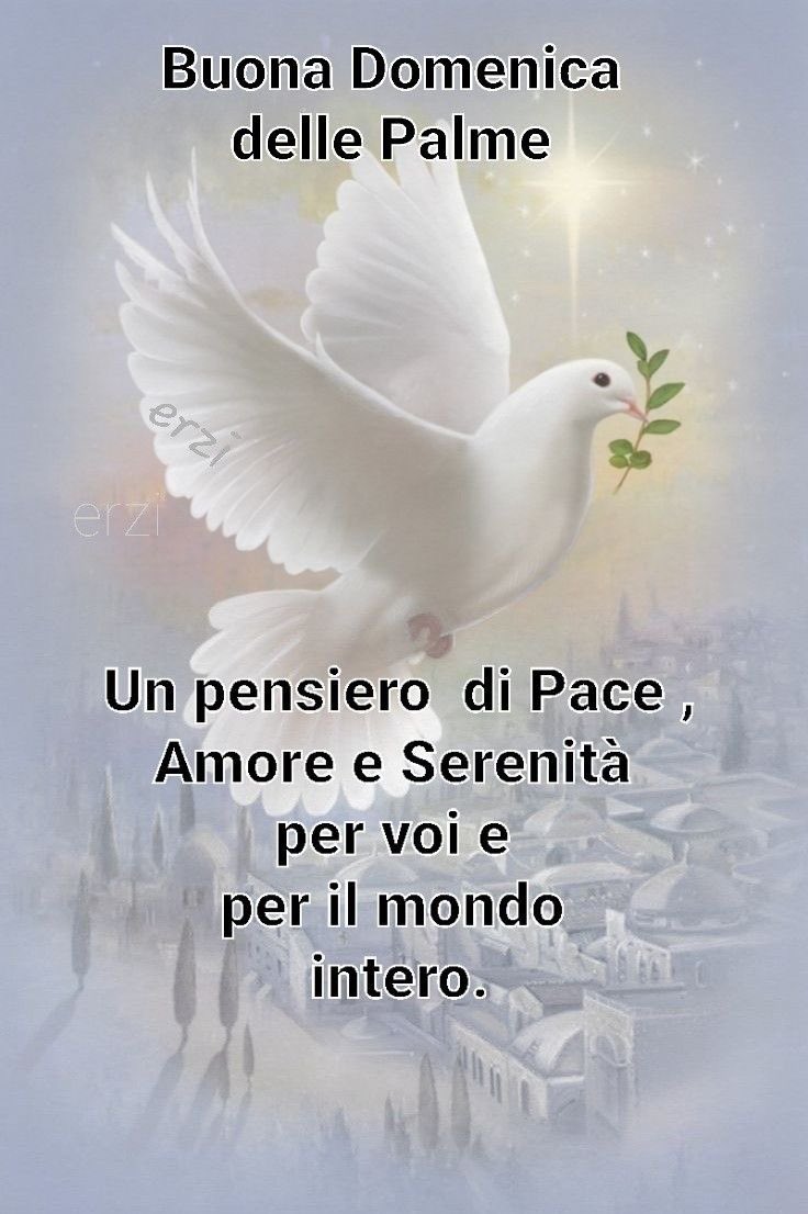 Vanna Martinelli tweet media