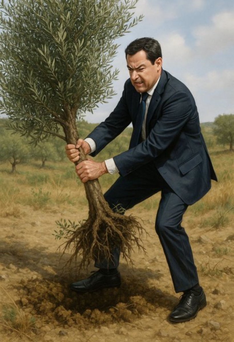 .•* ☆ 𝐓𝐢𝐭𝐨 𝐃𝐨𝐧𝐚𝐥𝐝 ☆ *•. tweet media