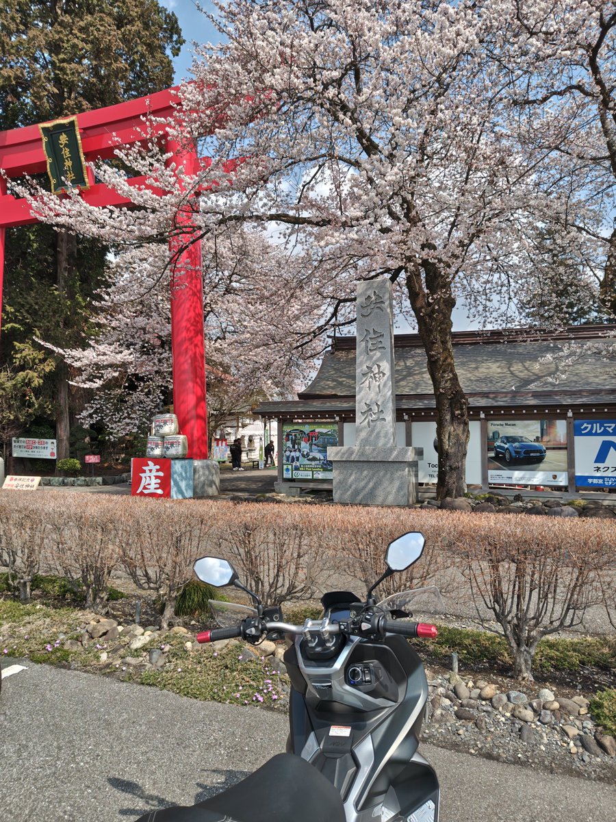 redsheepcross's tweet photo. 安住神社に行って交通安全をお願いしてきた https://t.co/sZ9JX4gyid