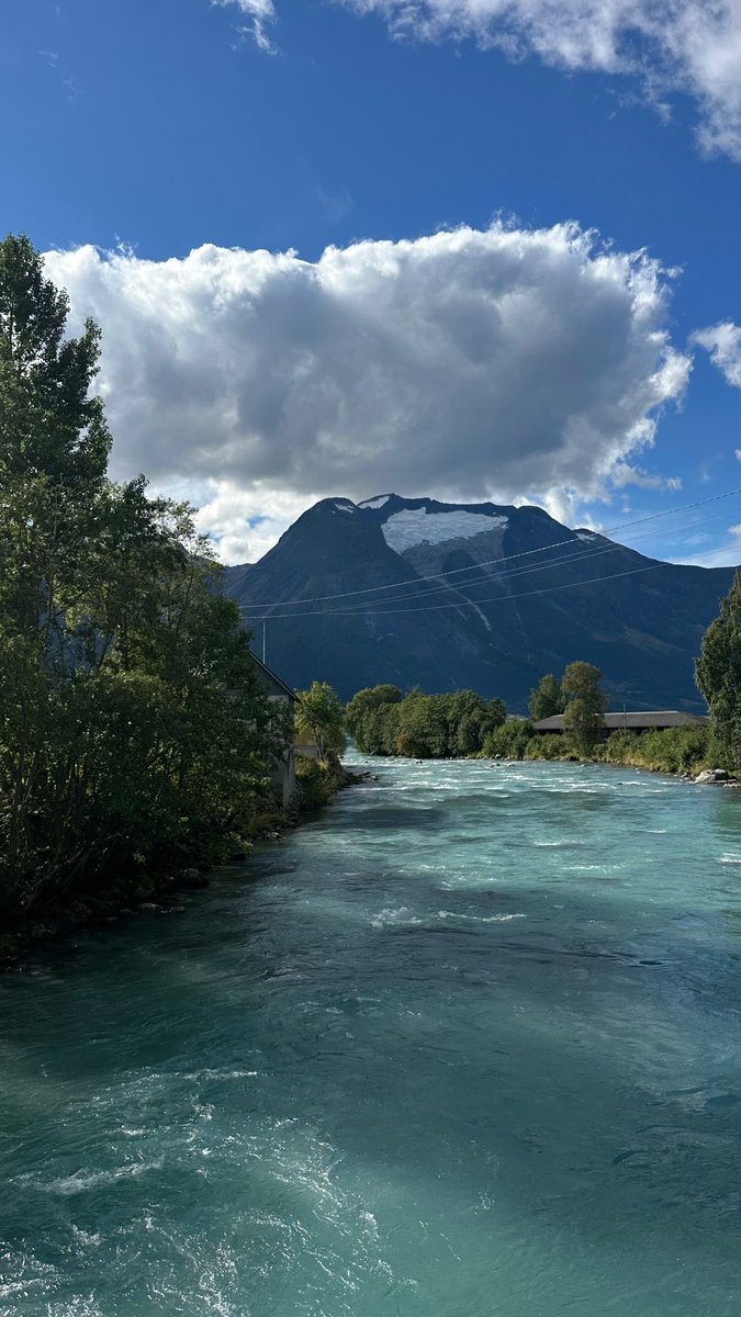 sky alsharif tweet media