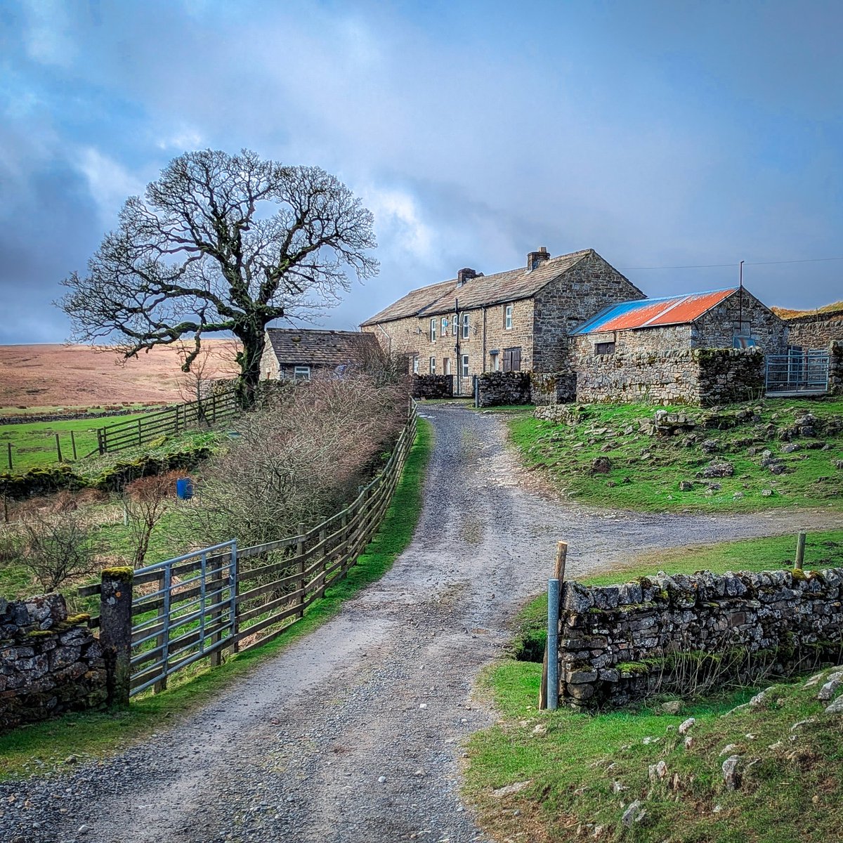 Stuart Klinke tweet media