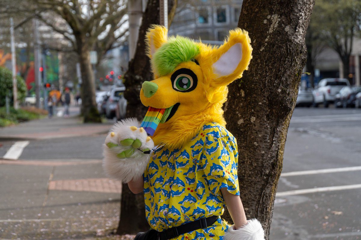 SpicySodaRoo🔞 tweet media