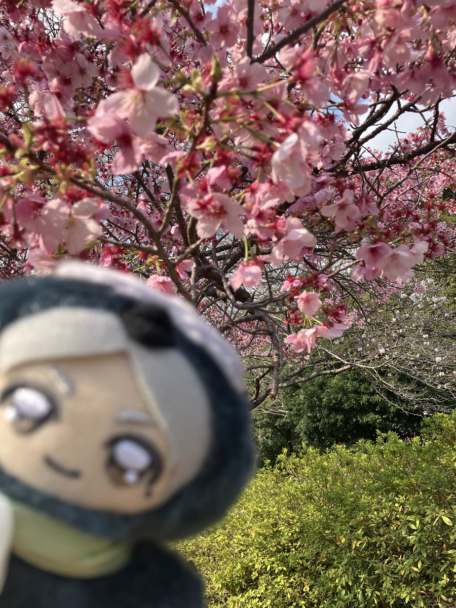 ぷんこし tweet media