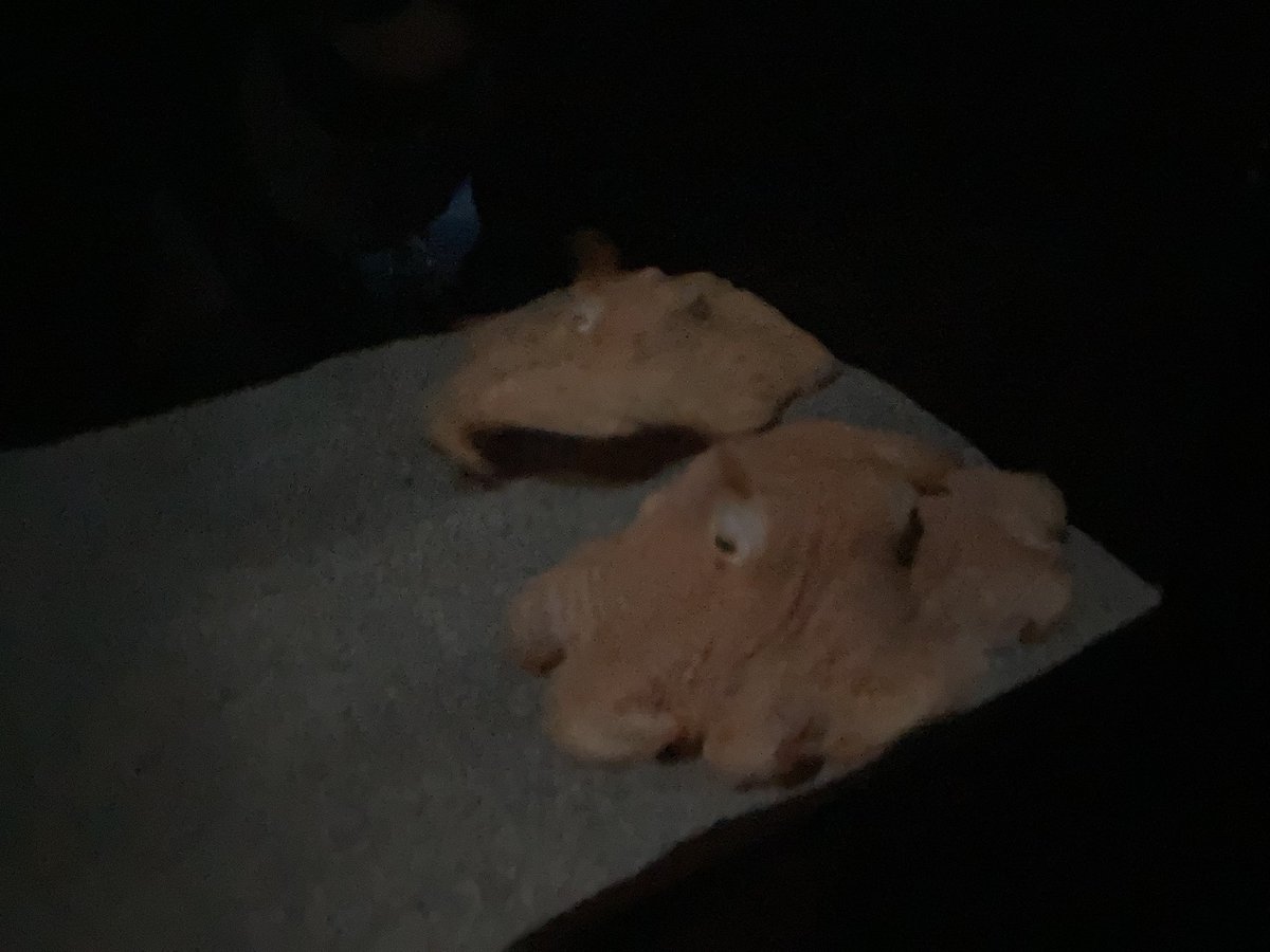 alinamine9 tweet media