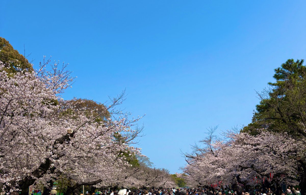 すま@ポケポケ tweet media