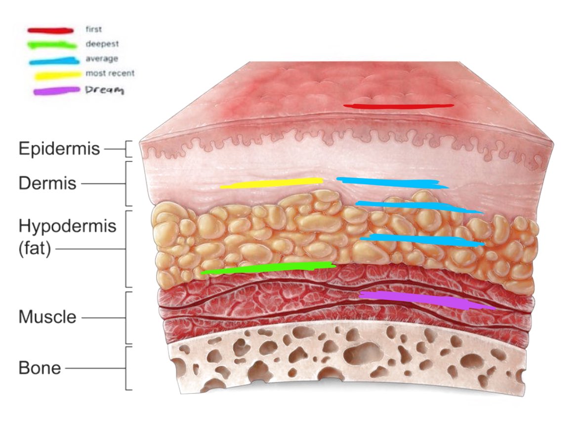 Mèo Vằn tweet media