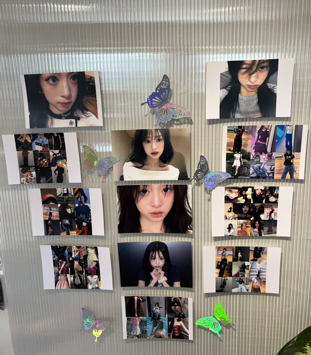 F🦋🐰 tweet media