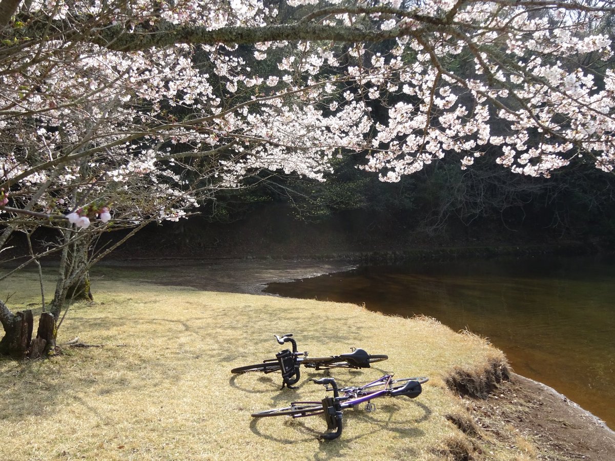 もづる tweet media