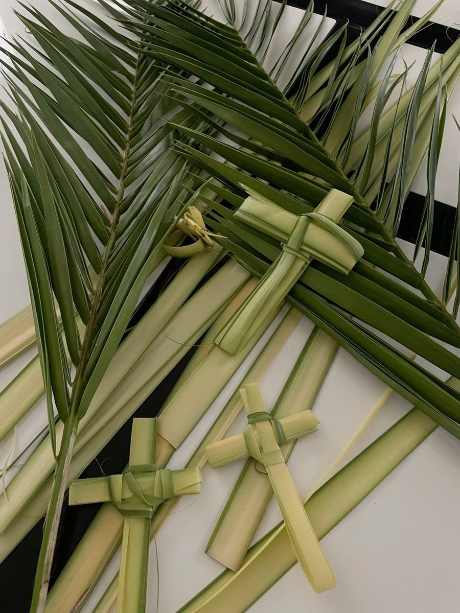 🌱Tressy (❖,❖) tweet media