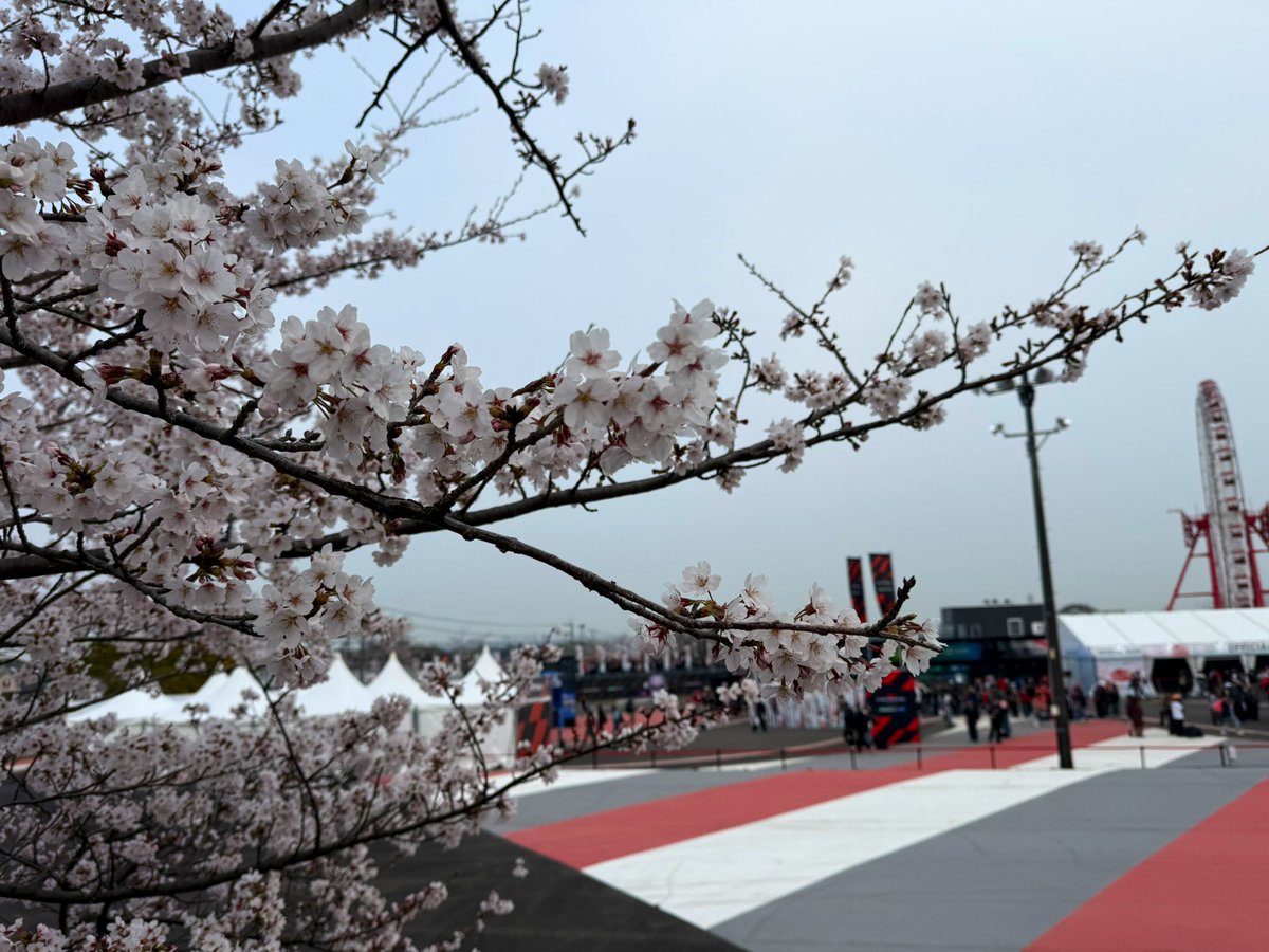 カタヤマ tweet media