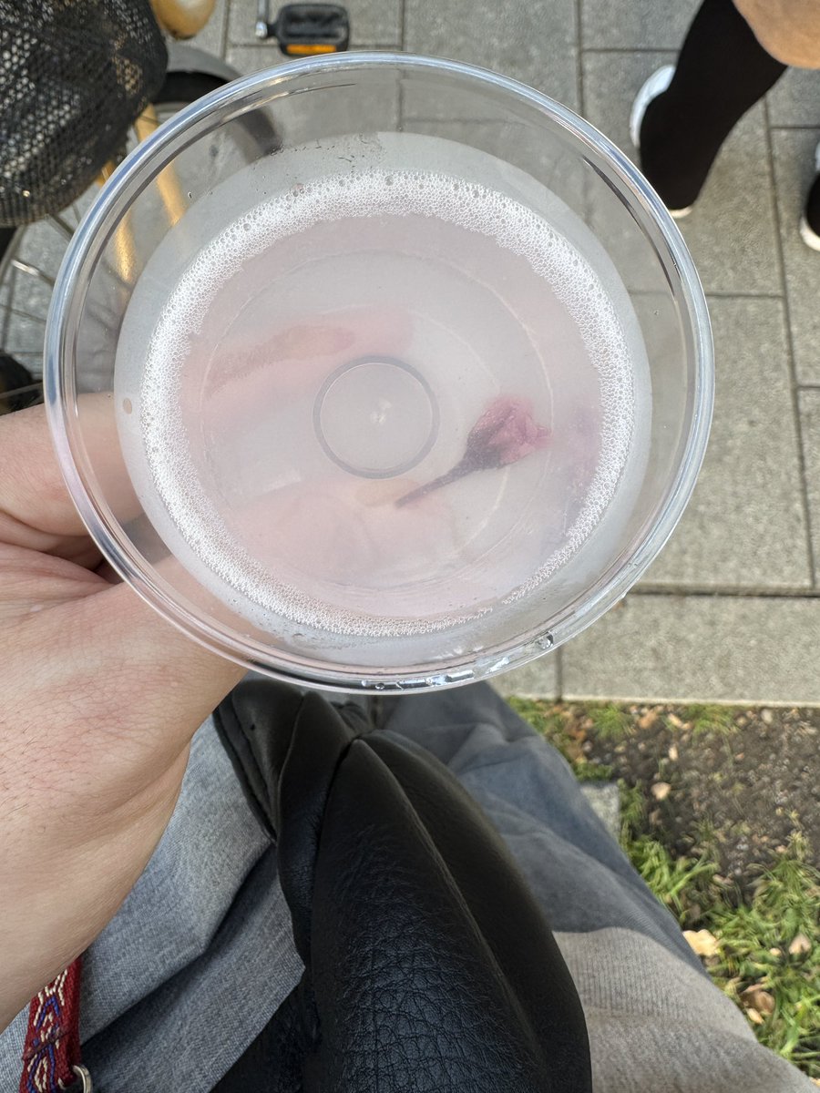 中に桜の蕾が入っててオシャレ（後から気づいた）