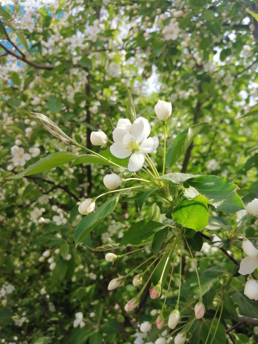 Eli Grba tweet media