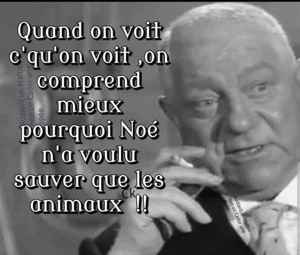petitwilly65's tweet photo. @JFBdeH https://t.co/v3OID8NKia