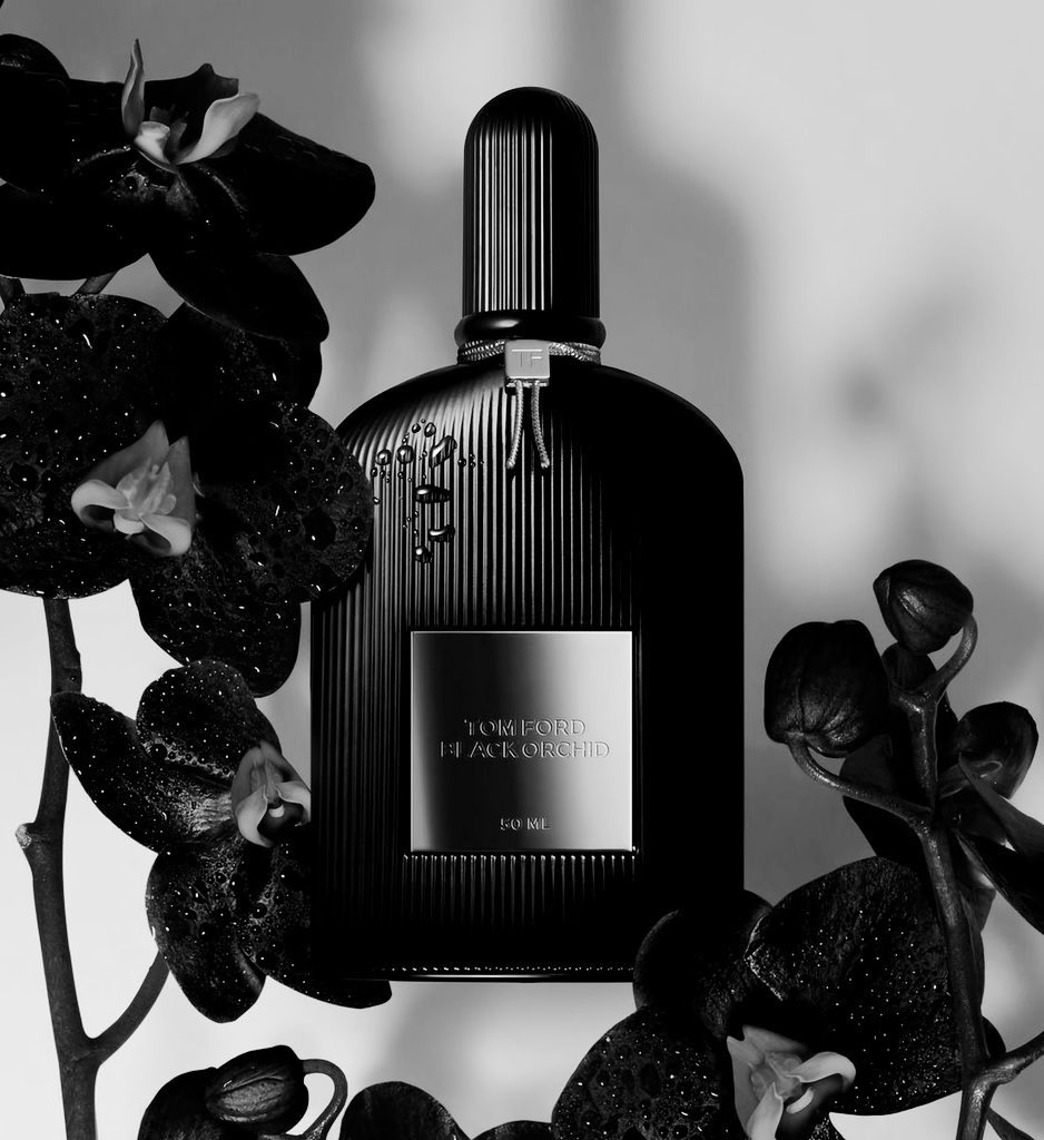 13 to 19 tweet media