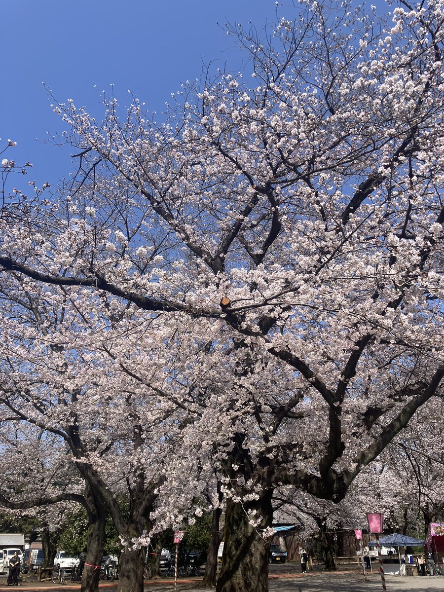 ルルビイ tweet media