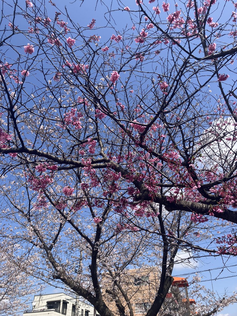 ルルビイ tweet media