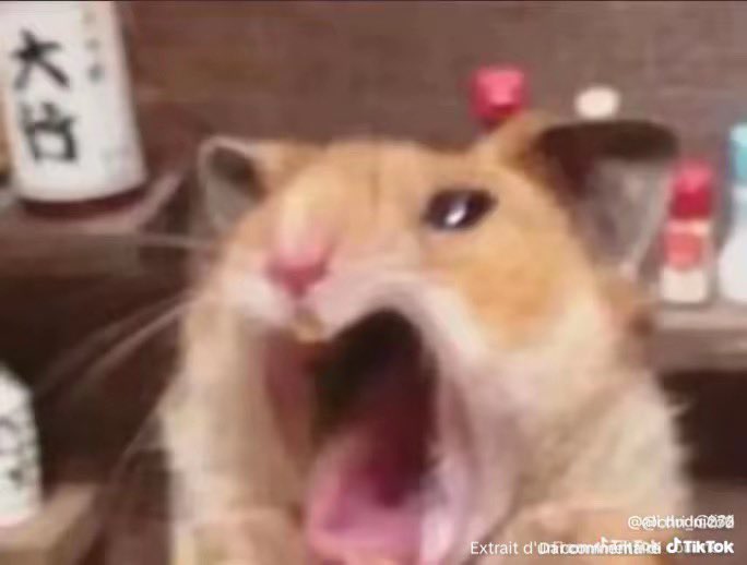 ŁE ØG $UƦ X tweet media