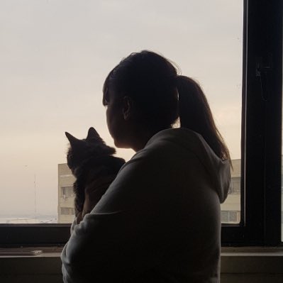 نوازنده مهاجر tweet media