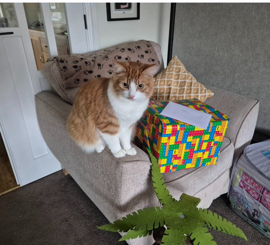 Kris M & Simba tweet media