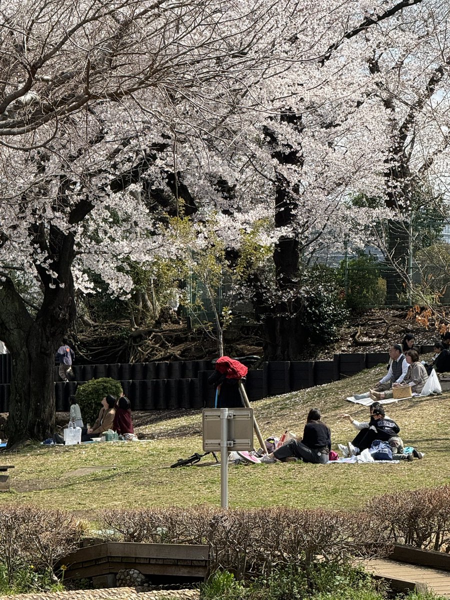 ブロ＊＊＊ tweet media