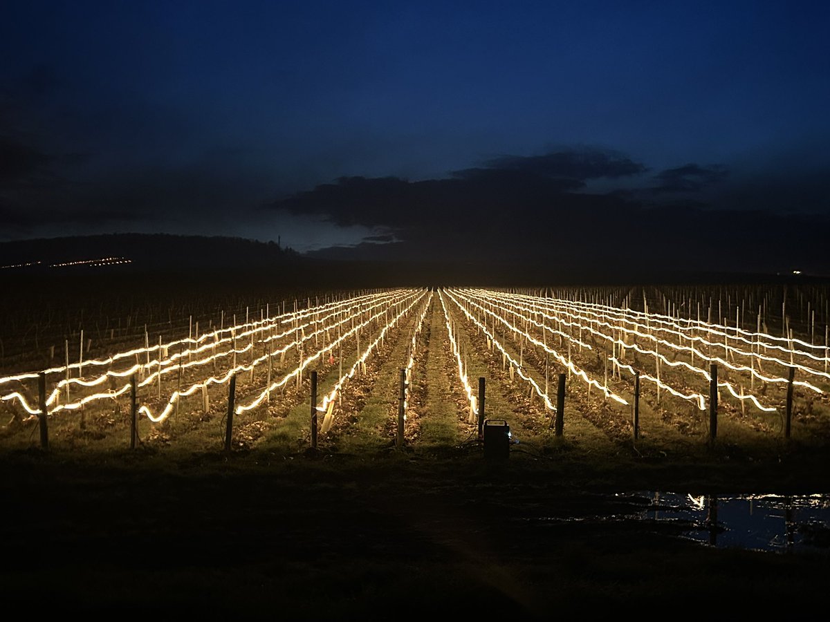 meteo60's tweet image. Nouvelle nuit de lutte contre le #gel dans certaines cultures, comme ici dans le vignoble de #Chablis où les #gelées s'enchaînent en cette fin de semaine. 
Photos : D. Varin et E. Bonnin via @meteo_89