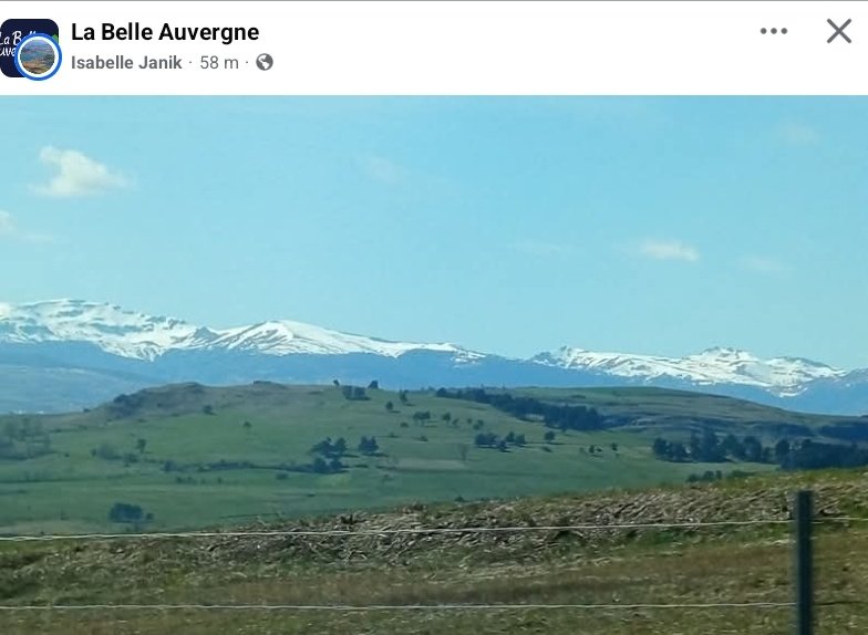 🇫🇷 MIDY Rosamonde 🇫🇷🐕📸🌕⭐️ tweet media