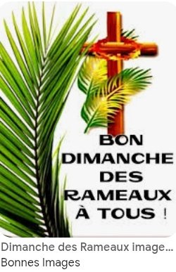 🇫🇷 MIDY Rosamonde 🇫🇷🐕📸🌕⭐️ tweet media