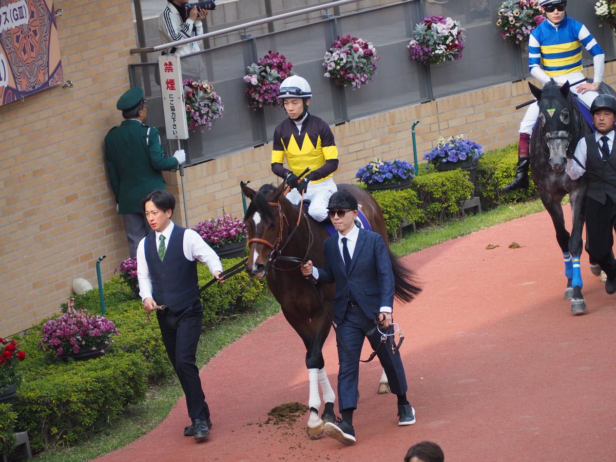 はるま ちくさ◎貯石 tweet media