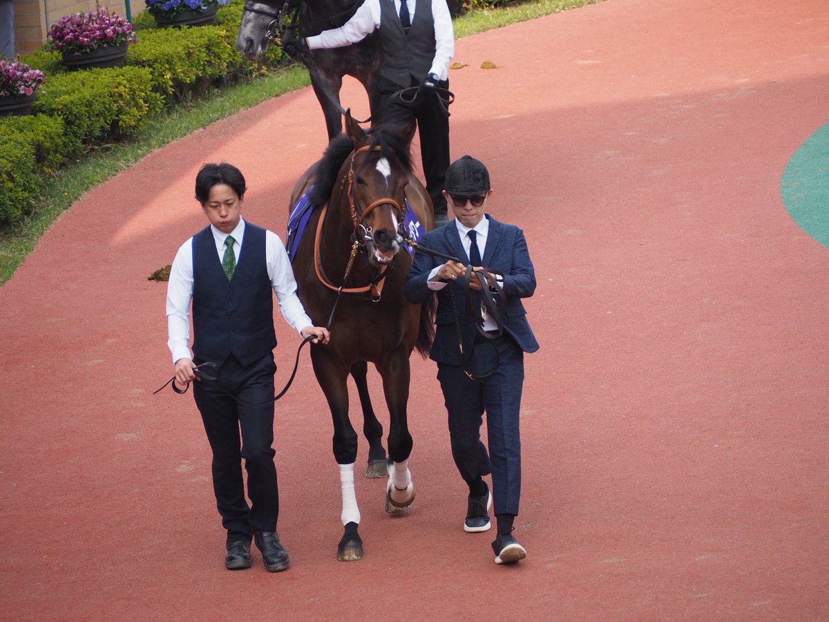 はるま ちくさ◎貯石 tweet media