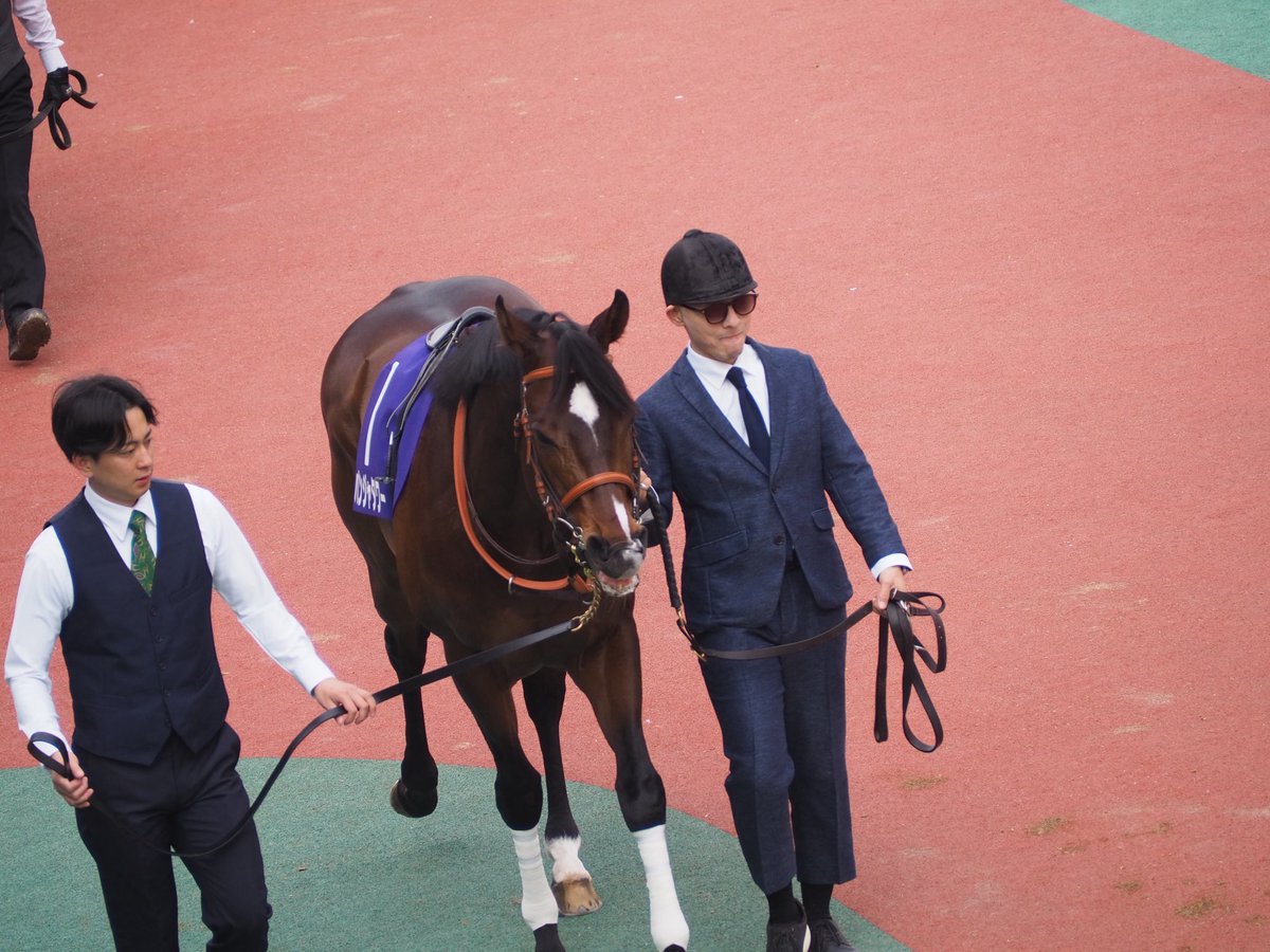 はるま ちくさ◎貯石 tweet media