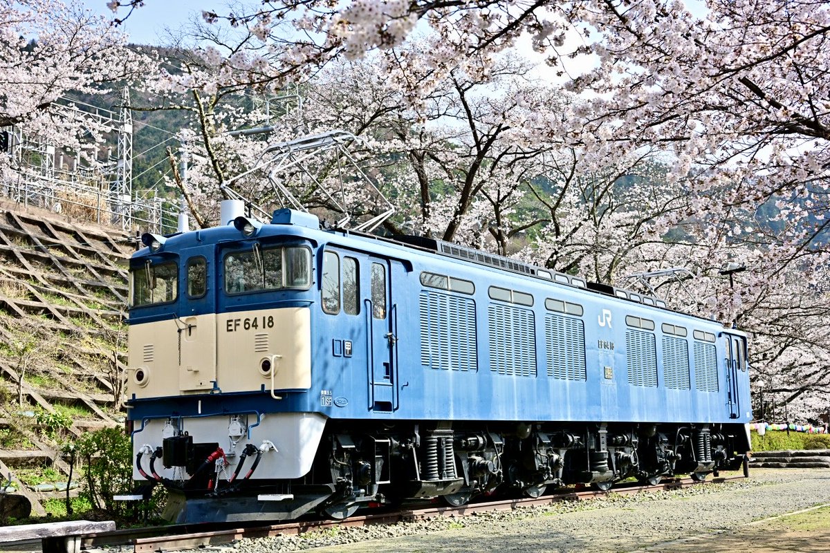 たんたん246 tweet media