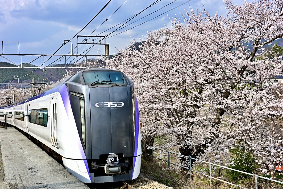 たんたん246 tweet media