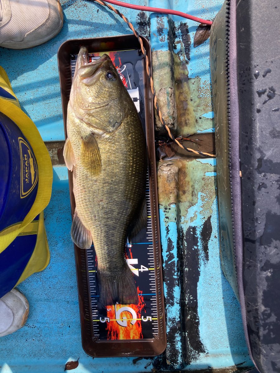 斎藤 俊輔 tweet media