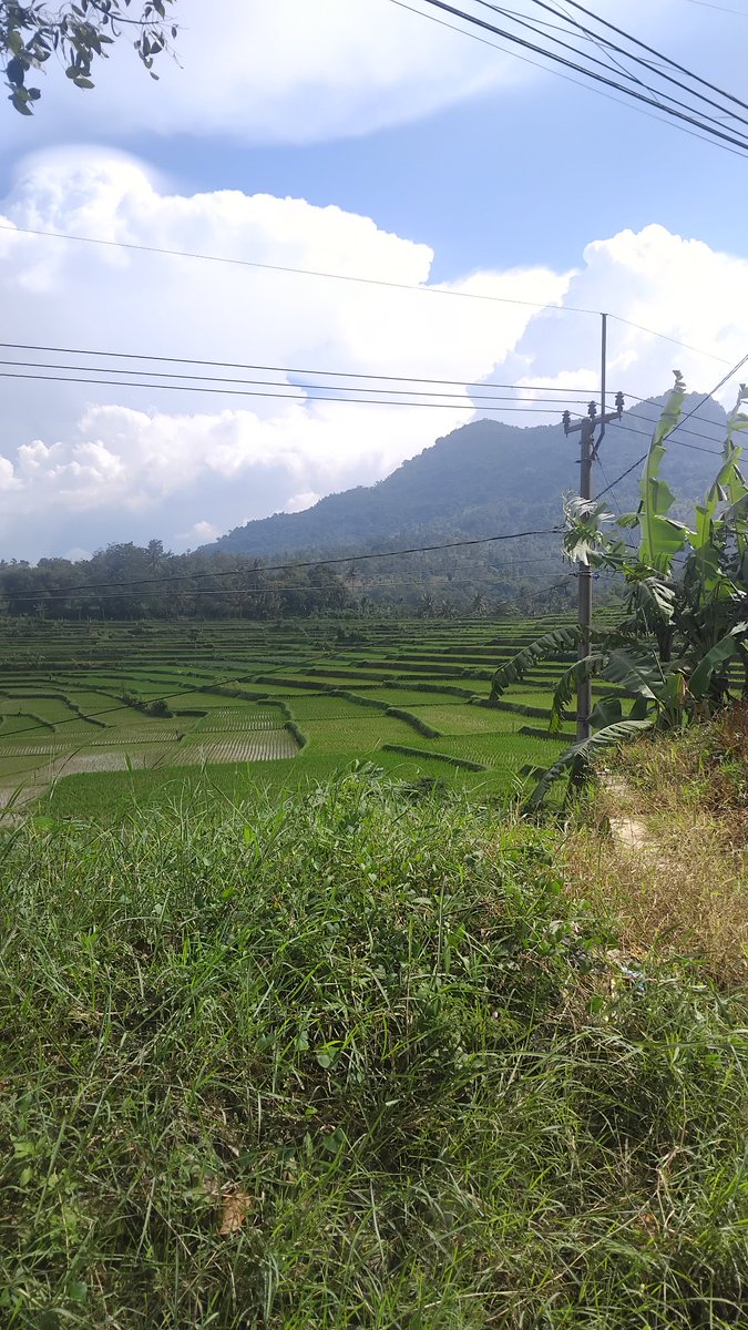 sandiismawan_'s tweet photo. @YURINO_1120 The best view when I come home after visiting my hometown https://t.co/LIBqhIsTw7