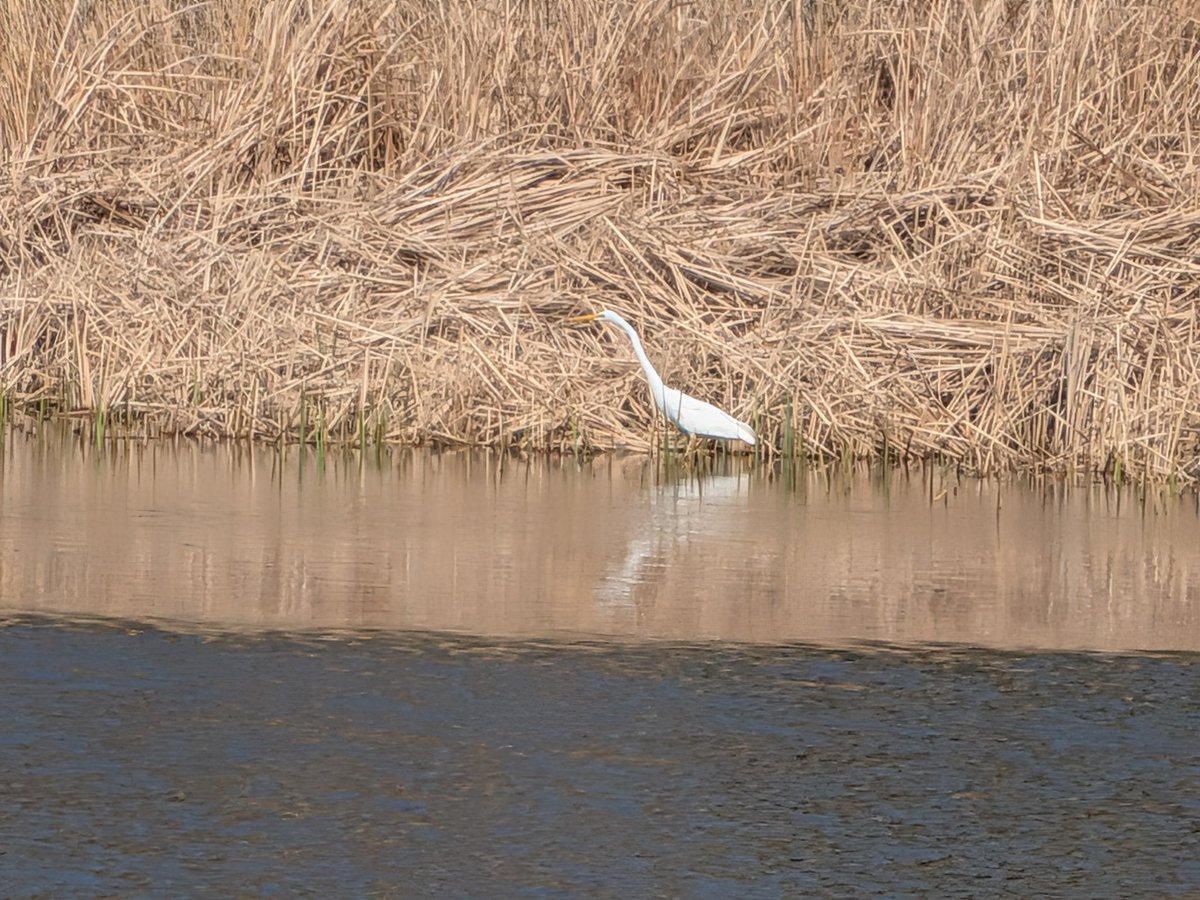 こいん ♥️♥♥🖤 🟢🟢⚫️ tweet media