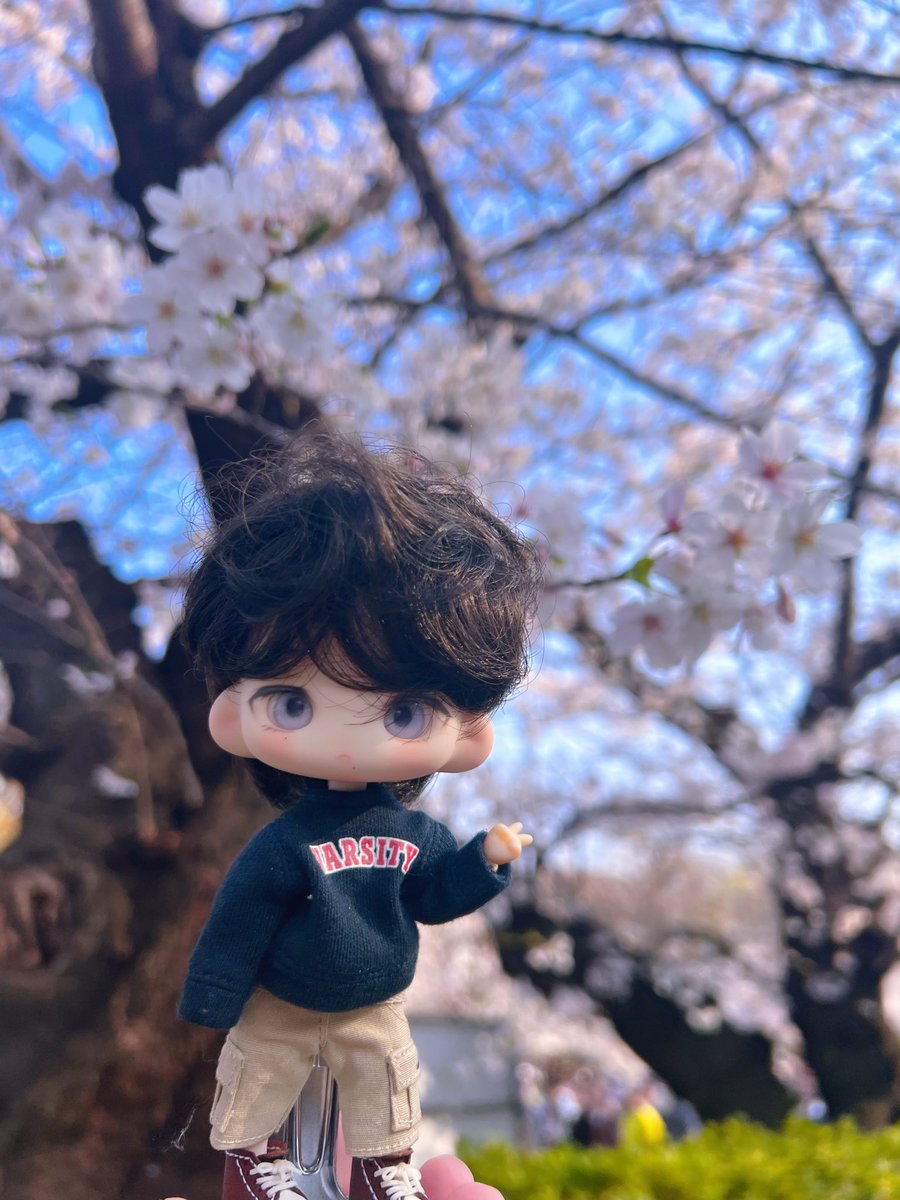 zane👈ゼン tweet media