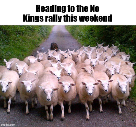 Ray Judd tweet media