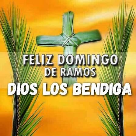 alessandra sposito tweet media